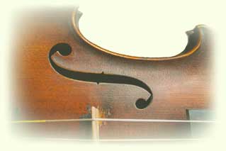 violin3.jpg